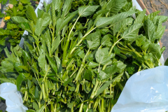 Screenshot_20260315-115929